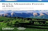 Rocky Mountain Forests at Risk: Confronting Climate-driven Impacts ...