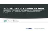 Public Cloud Comes of Age