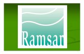 Work Since Ramsar Designation