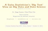 A Swiss Statistician's 'Big Tent' View on Big Data and Data Science