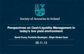 131105 Perspectives on Cash & Liquidity Management.pdf