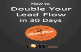 Double Your Lead Flow in 30 Days Ebook