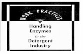 Work Practices for Handling Enzymes in the Detergent Industry