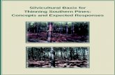 Silvicultural Basis for Thinning Southern Pines: Concepts and Expected Responses