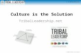 Tribal Leadership: Culture is the Solution