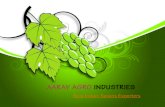 Raisins Suppliers - Aarav Agro Industries