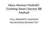 3+1bhk flats in hero homes mohali