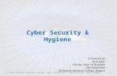 Cyber Security & Hygine