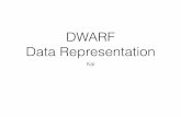 DWARF Data Representation