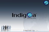 Indigoa Sourcing - Best Web Design & Development in brisbane
