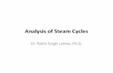 Analysis of Steam Cycles