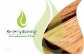 Renewing Bioenergy