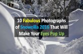 10 Fabulous Photographs of Snowzilla 2016 That Will Make Your Eyes Pop Up
