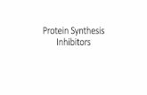 Pharmacology - Protein Synthesis Inhibitor