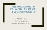 Introduction to polyacrylamide gel electrophoresis