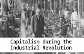 Capitalism in industrial revolution