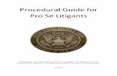 Procedural Guide for Pro Se Litigants