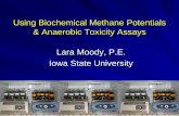 Using Biochemical Methane Potential and Anaerobic Toxicity Assays