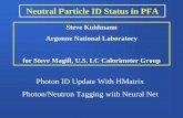 Neutral Particle ID Status in PFA