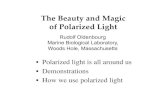 The Beauty and Magic of Polarized Light