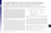 Extreme hyperopia is the result of null mutations in MFRP, which ...