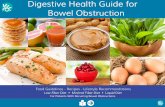 Digestive Health Guide for Bowel Obstruction