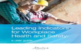 Leading Indicators for Workplace Health and Safety: a user guide