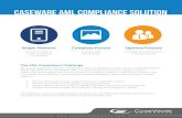 CaseWare aml compliance solution