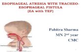 Case study  on Esophageal Atresia with Tracheo esophageal Fistula