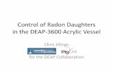 Control of Radon Daughters in the DEAP-3600 Acrylic Vessel