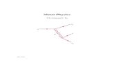 Muon Physics (PDF)