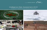 Intelligence Risk Assessment 2015