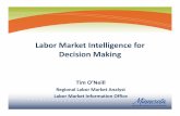 What is labor market information?