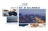 AT A GLANCE 2014