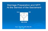 Marriage Preparation and NFP: At the Service of the