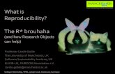 What is Reproducibility? The R* brouhaha