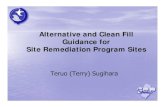 Alternative and Clean Fill Guidance for Site Remediation Program ...