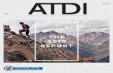 2015 ATDI Report