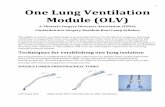 One Lung Ventilation Module (OLV)