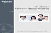 Skelta Business Process Management - For BPM and Advanced ...