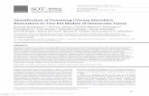 Identification of Promising Urinary MicroRNA Biomarkers in Two Rat ...