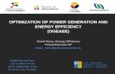 Optimization of Power Generation and Energy Efficiency