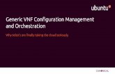 Generic VNF configuration management and orchestration