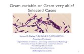 Gram Variable or Gram Very Able by Dallas part1.pdf