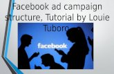 Facebook ad campaign structure, tutorial by louie
