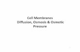 Cell Membranes Diffusion, Osmosis & Osmotic Pressure