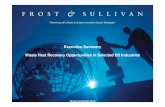 Waste Heat Recovery Opportunities in Selected US Industries (Frost ...