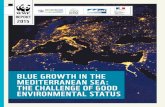 Blue Growth in the Mediterranean Sea: the Challenge of Good ...