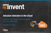 Intrusion Detection in the Cloud