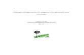 Challenges and opportunities for mitigation in the agricultural sector